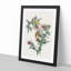 American Goldfinch Birds by John Audubon - Single Picture Frame Painting-55545125-55545126