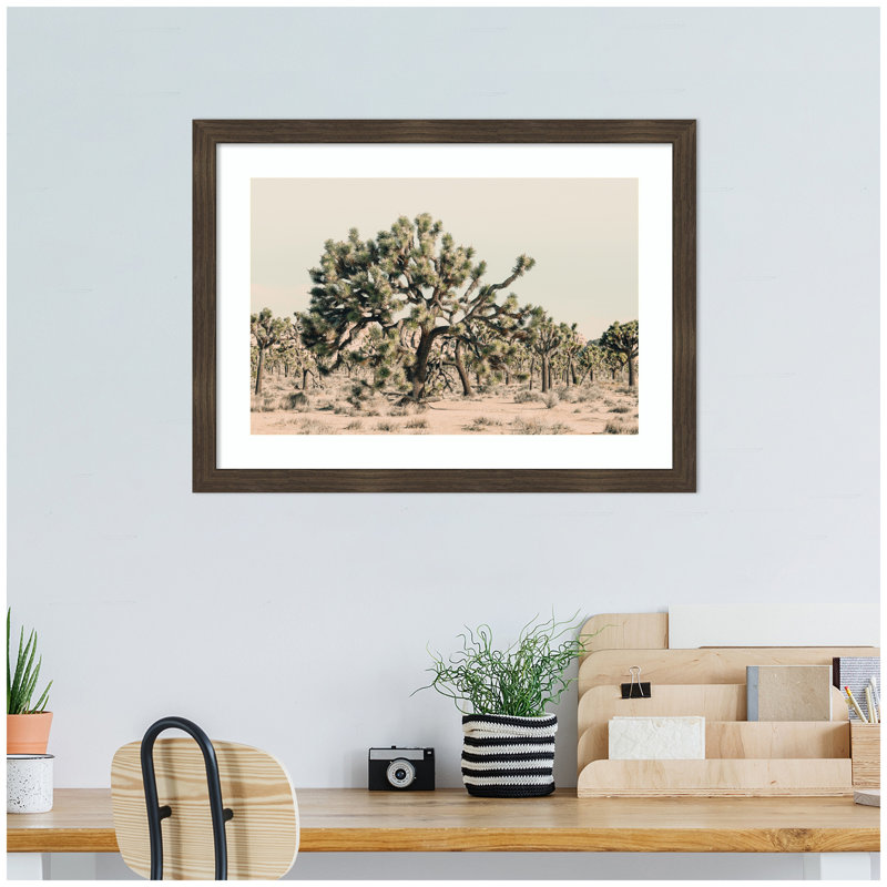 «Joshua Tree No. 1» par Alicia Bock, reproduction d'art encadrée