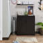 12 Pair Shoe Storage Cabinet-29352299