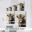 Highland Portrait II - Galeria Cavas-416698071