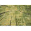 Tapis à motif abstrait et naturel 5 x 8