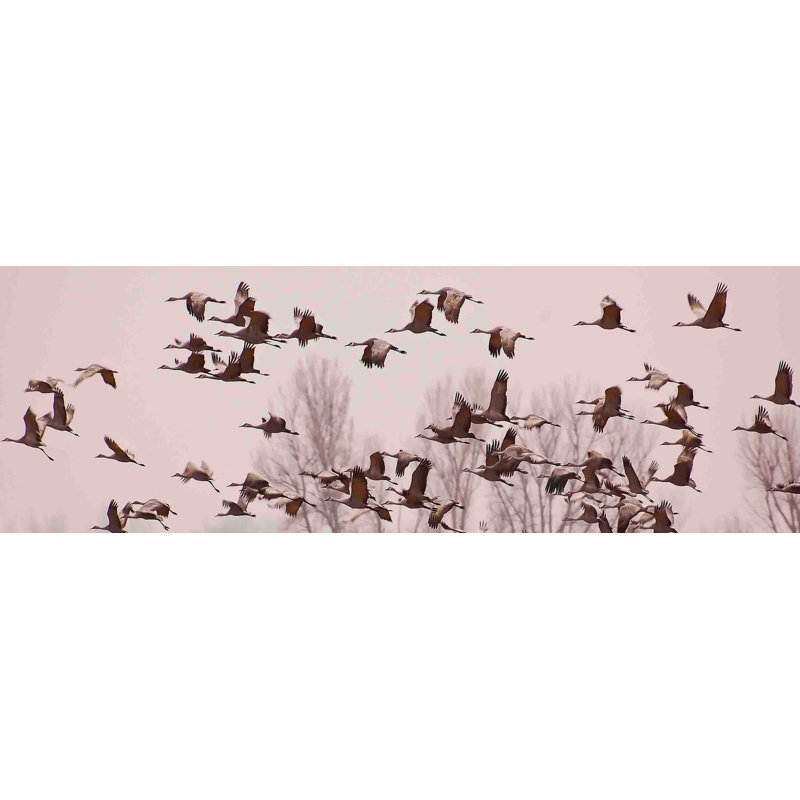 Cranes Across The Sky by Don Schwartz - Wrapped Canvas Panoramic Print, 25 cm H x 76 cm W