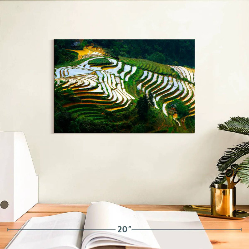 Rizières Benguet, H 8 po x l 12 po