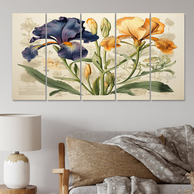 Gold Iris Vintage Illustration - Irises Canvas Print - 5 Equal Panels