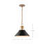Luminaire suspendu conique à 1 lumière Rodarte-1773667683-1773667682