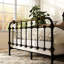 Cadre de lit double en métal de style transitionnel, noir antique, thermolaqué, accents dorés brossés à la main, 7 broches pour la configuration de la chambre à coucher-1323745158