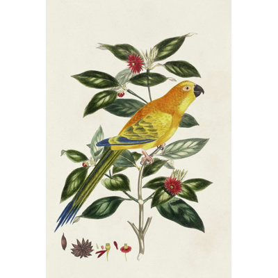 " Bird In Habitat V "