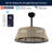 Cressida 23.75" Traditional Bohemian 6-Speed Metal/Bamboo Mobile-App/Remote-Controlled Height-Adjustable Dimmable Caged Integrated LED Ceiling Fan