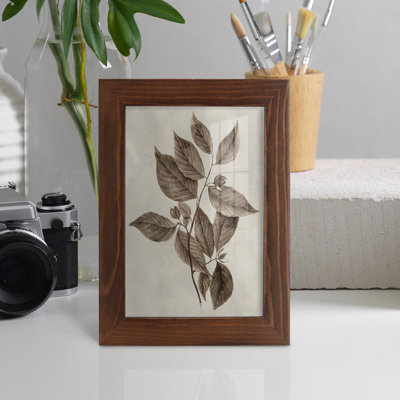 Arbor Speciment III - Impression encadrée avec verre - châtaignier