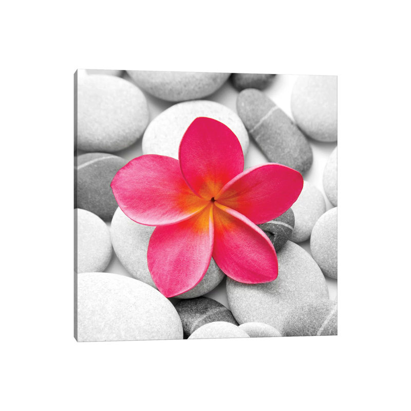 Zen Flower by PhotoINC Studio - Print on Canvas, Wrapped Canvas, 30.48 cm H x 30.48 cm W