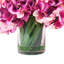 Fuchsia Hydrangea in Water Vase