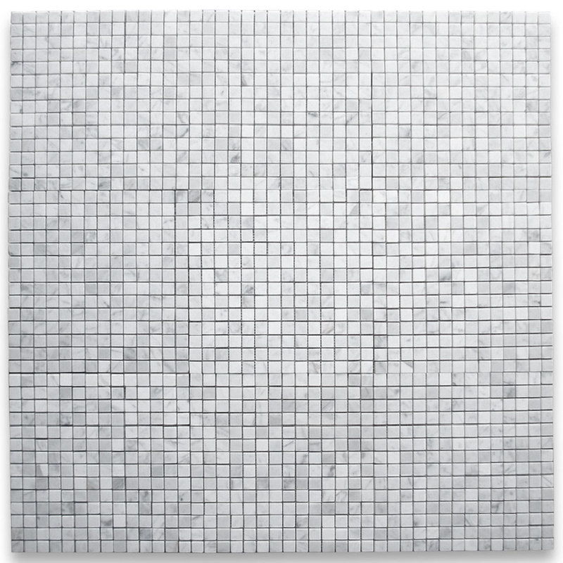 Carreau de mosaïque en marbre 12 po x 12 po