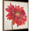 «Red Gerber Daisy», reproduction encadrée sur toile par Patricia Pinto-555293733