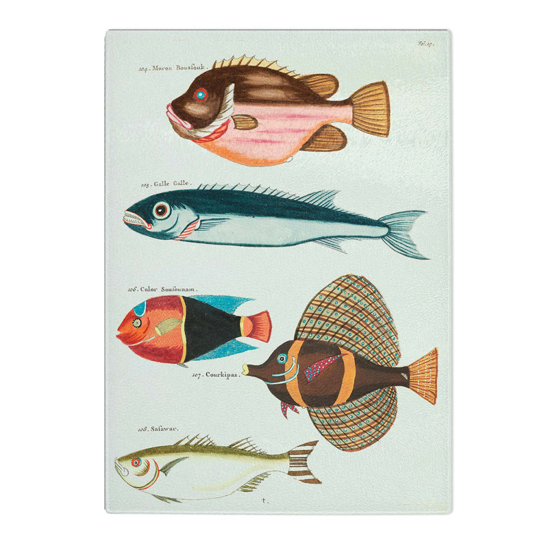 Glass East indies Fish Illustrations Fol. 19 by Louis Renard Chopping Board, 28.5 cm W x 20 cm L
