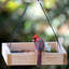 Cèdre - Plateau mangeoire pour oiseaux