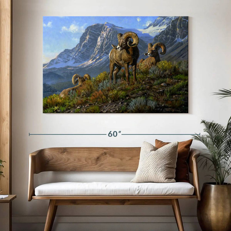 Rams, 34" H x 51" W