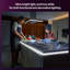 Bande lumineuse Philips Hue OmniGlow 10 pi