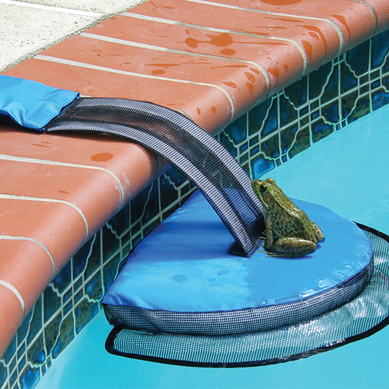 Aspirateur Froglog Hot Tub
