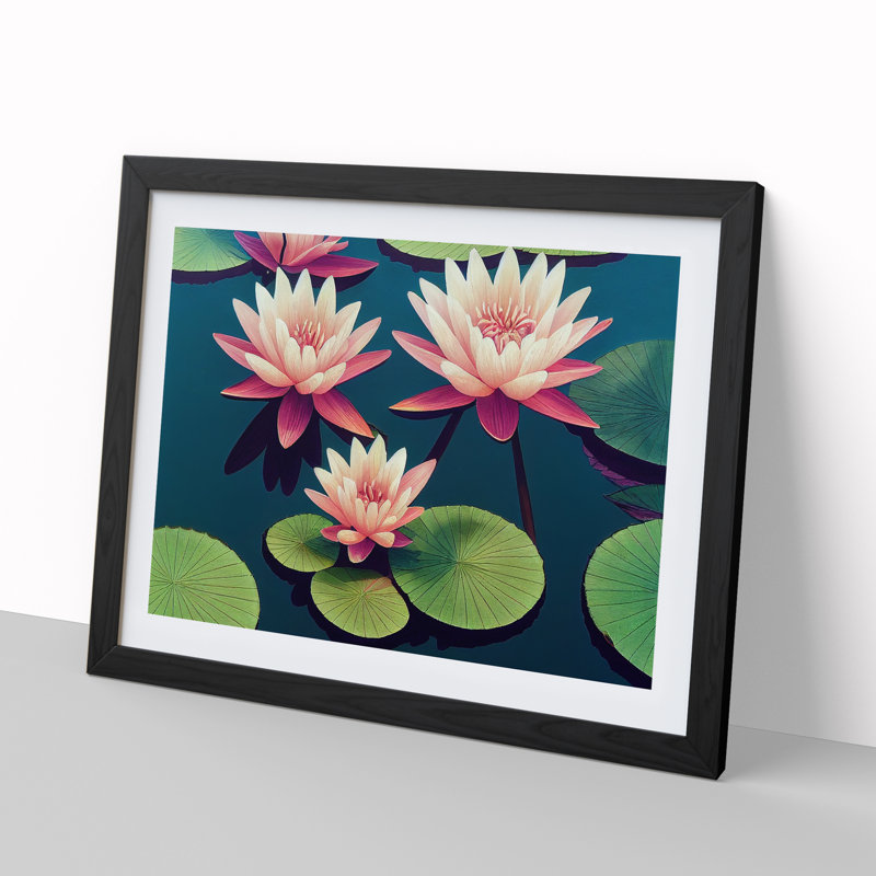 Spectacular Water Lily Flowers - Framed Print, Black, 46cm H x 64cm W x 2cm D