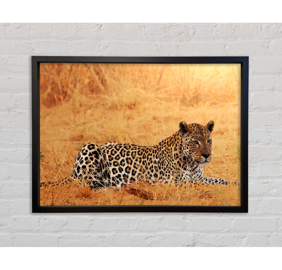 Leopard Waiting - Einzelner Bilderrahmen Kunstdrucke auf Leinwand