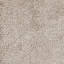 Goddess Area Rug in Begie-642154805