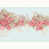 Rose est en rupture de stock