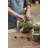 Discovery Terrarium-983650735