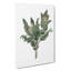 Holy Thistle Illustration - Wrapped Canvas-55359373