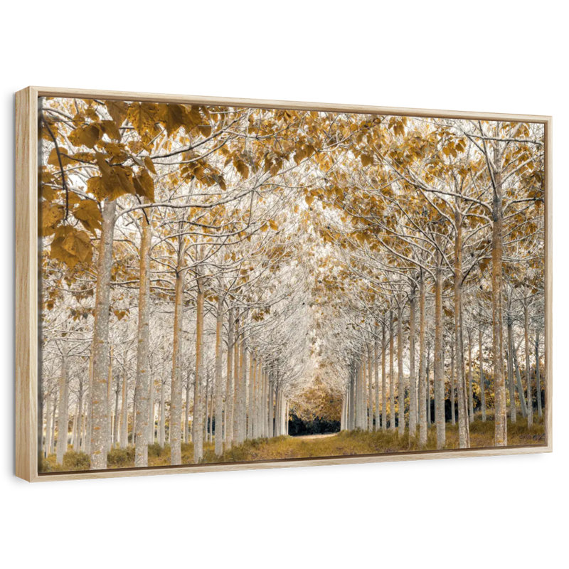 Or blanc, Cadre flottant en bois naturel, 43 po x 29 po