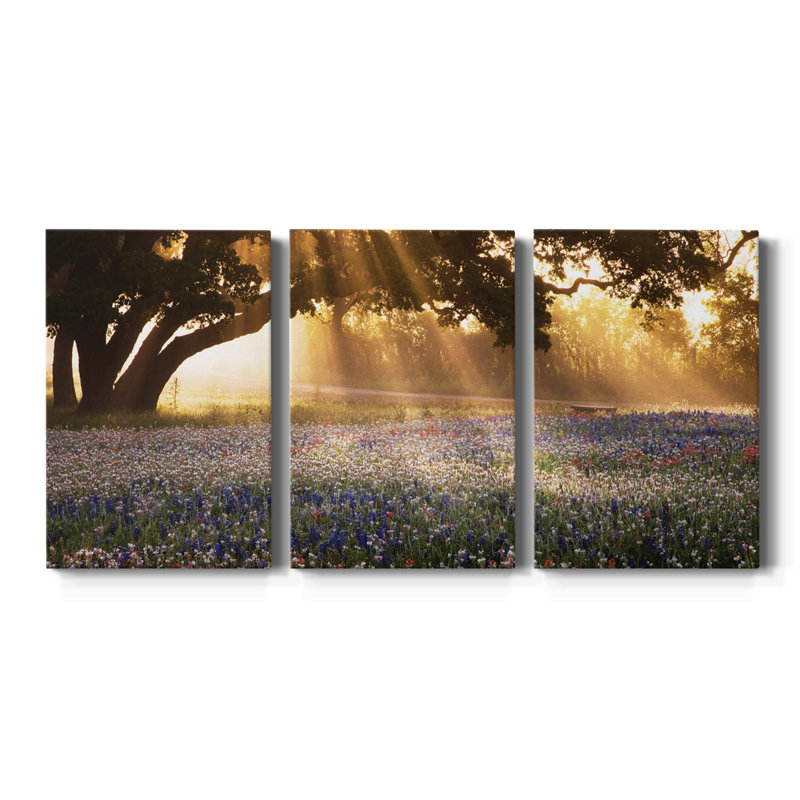 Morning Meadow Sunrise - toile tendue avec châssis de qualité supérieure - prête à être accrochée, H 27 po x l 54 po x P 1 po