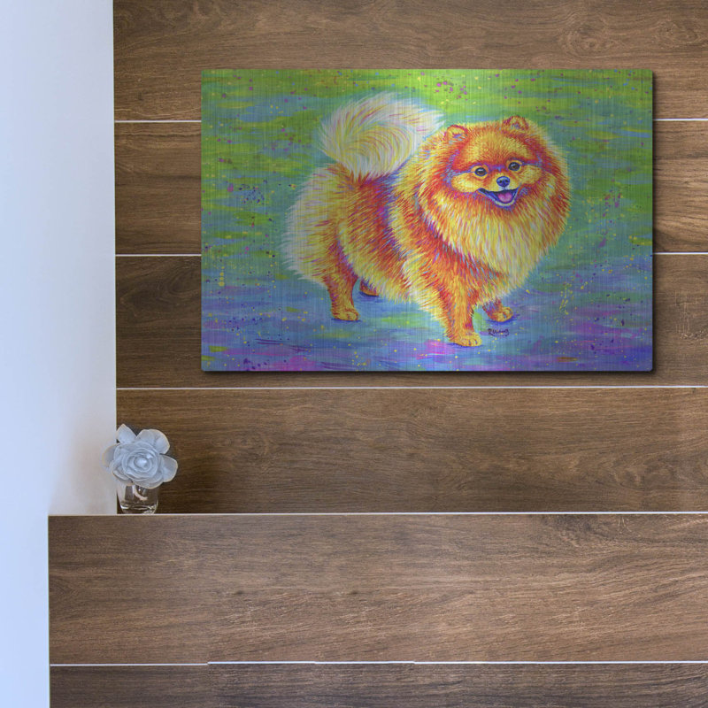 «Rainbow Pomeranian» par Rebecca Wang Art, H 12 po x l 16 po