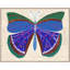 Butterfly Blue Print by Paule Marrot-626232866-626232867