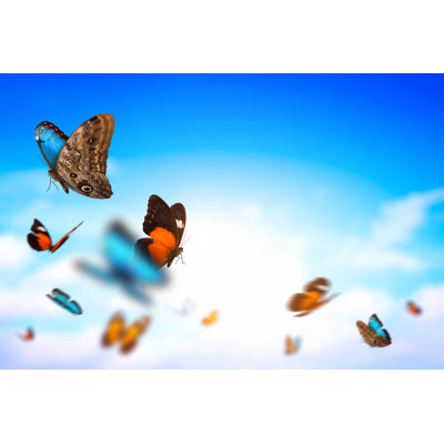 Butterflies by Borchee - Print