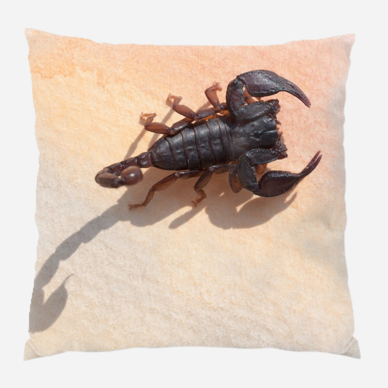 Coussin constellations, Microsuède, Intérieur