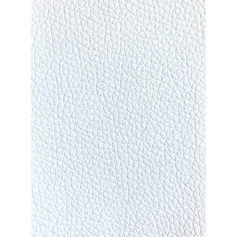 Chaise de réception Albarado, Blanc, Acier inoxydable