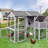 25.7 Square Feet Walk In Chicken Coop with Chicken Run and Nesting Box for up to 10 Chickens