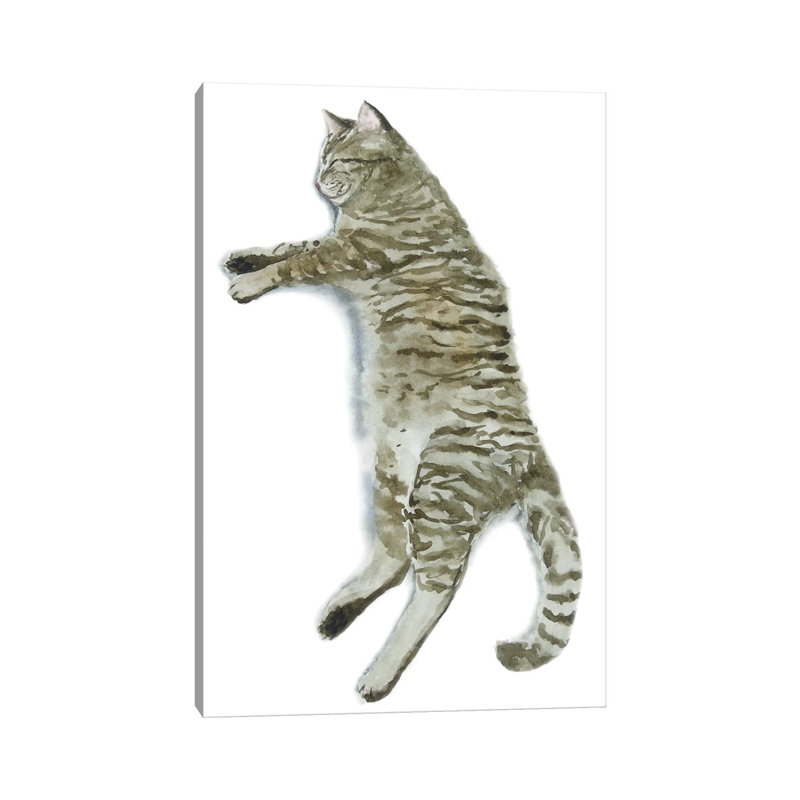 Sleeping Tabby Cat II 1 Piece Wrapped Canvas Wall Art, 20.32 cm H x 30.48 cm W