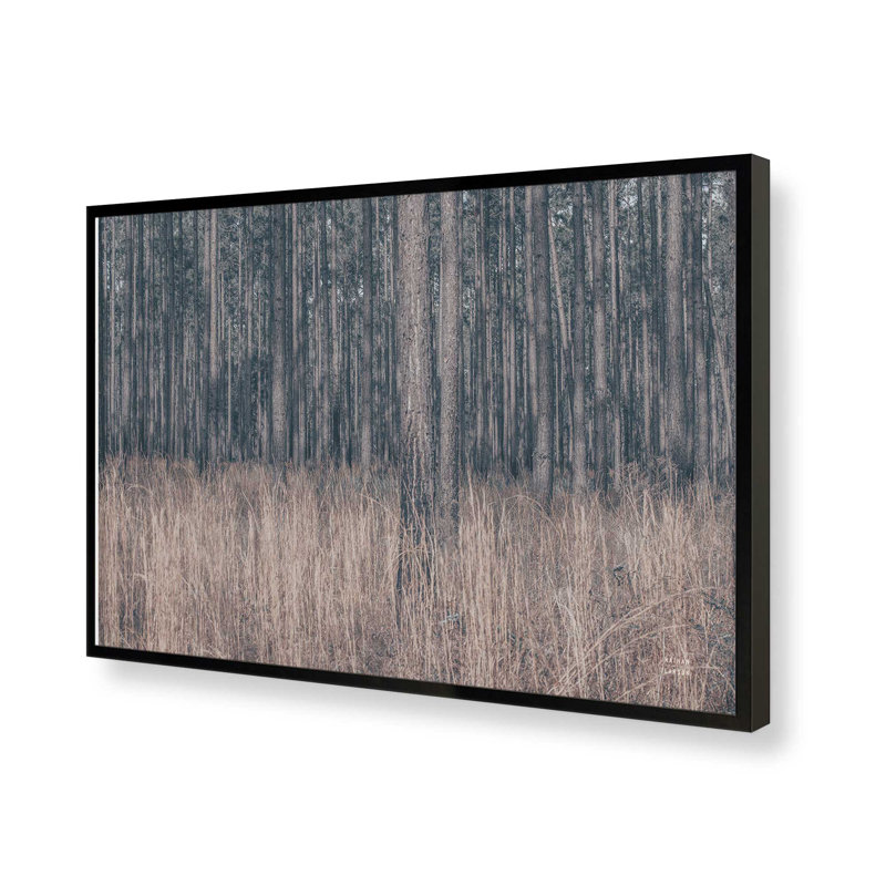 «Stitched» par Nathan Larson, reproduction d'art, H 12 po x l 18 po, Noir