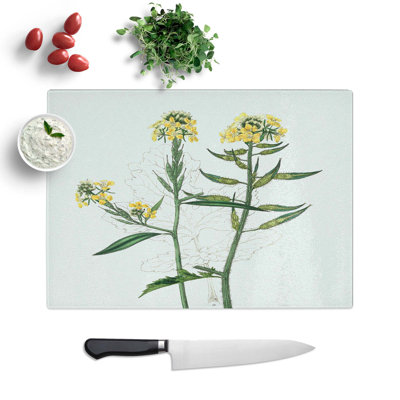 Tempered Glass Flowers Illustration Chopping Board