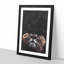 Lion Looking Upwards - Framed Print-56853256-56853260