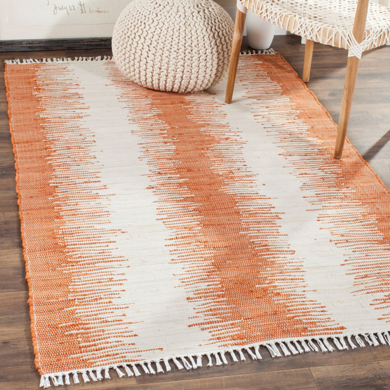 Tapis rayé en coton tissé à la main Parvin, Rectangle 5 pi x 8 pi
