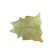 Houchin Handmade Cowhide Lime Area Rug