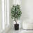 Adcock UV Protected Artificial Ficus Tree with Decorative Base, Faux Ficus Plant with Natural Trunk-1914722526-1914722520