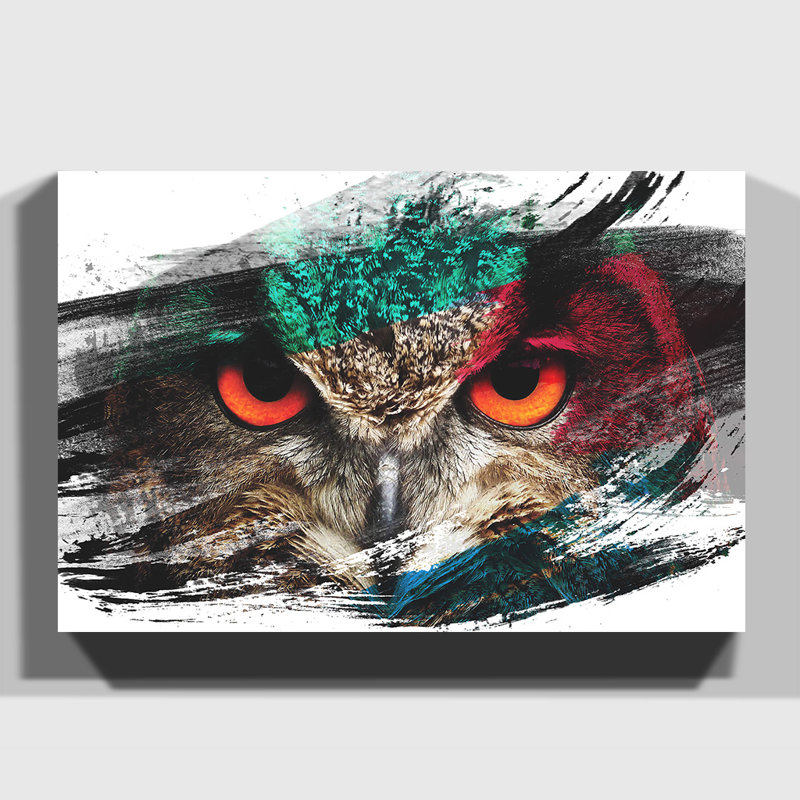Owl Bird - Wrapped Canvas, 70cm H x 100cm W