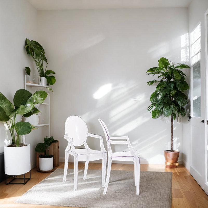 Chaise avec accoudoirs Kaylon Gostyy, Transparent