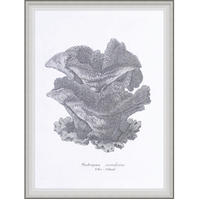 Cultivated Antiquity 6 Print
