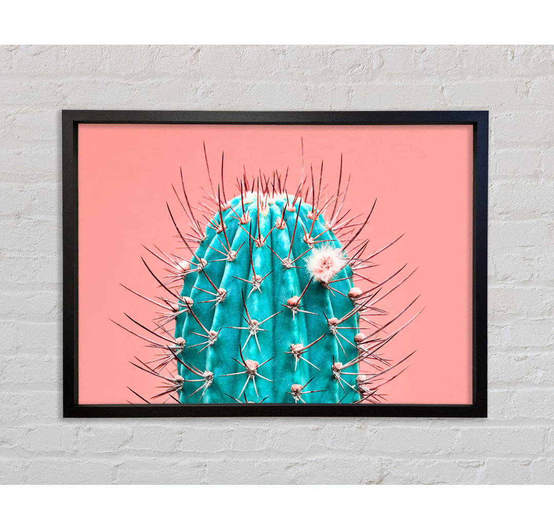 Teal Cactus - Bilderrahmen Kunstdrucke auf Leinwand