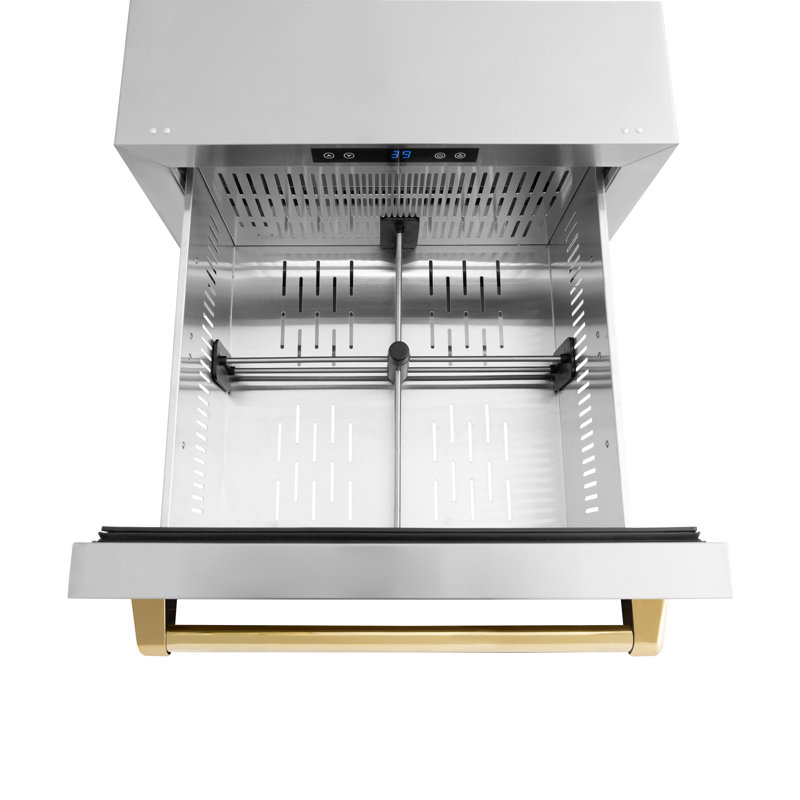 ZLINE Autograph Edition 24 In. Touchstone Refrigerator Drawer in Black Matte and Gold, Stainless Steel/Gold