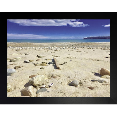 Coquillages dans le sable - photographie