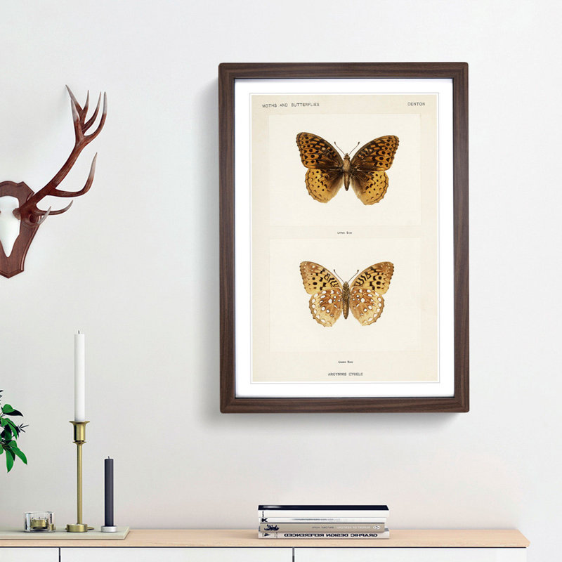 Great Spangled Fritillary Butterfly by S.F. Denton - Picture Frame Painting Print, 48cm H x 36cm W x 2cm D, Walnut Framed